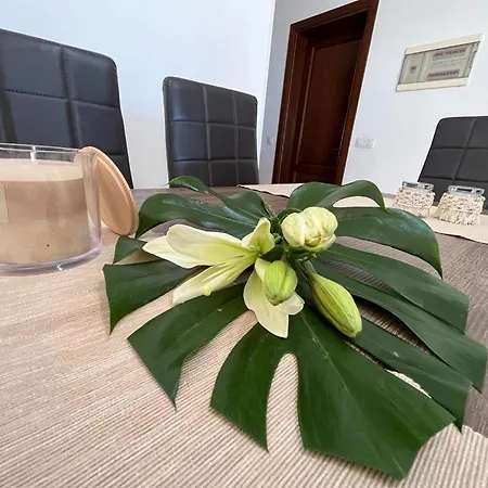 Hébergement de vacances Aloe 4